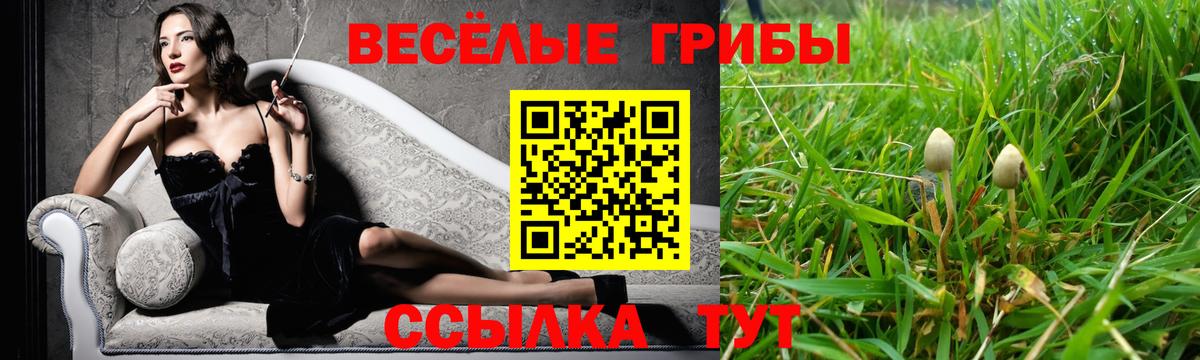 Галлюциногенные грибы MAGIC MUSHROOMS  Вход с VPN  Чусовой 